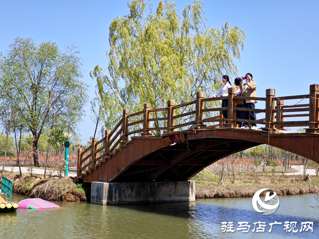 2024年全國(guó)夏季&ldquo;村晚&rdquo;示范展示點(diǎn)公布，平輿縣西洋店鎮(zhèn)西洋潭村榜上有名