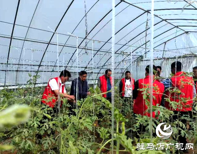 泌陽(yáng)縣：用好科技之力激活鄉(xiāng)村振興&ldquo;智力引擎&rdquo;