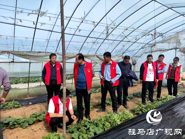 泌陽(yáng)縣：用好科技之力激活鄉(xiāng)村振興&ldquo;智力引擎&rdquo;