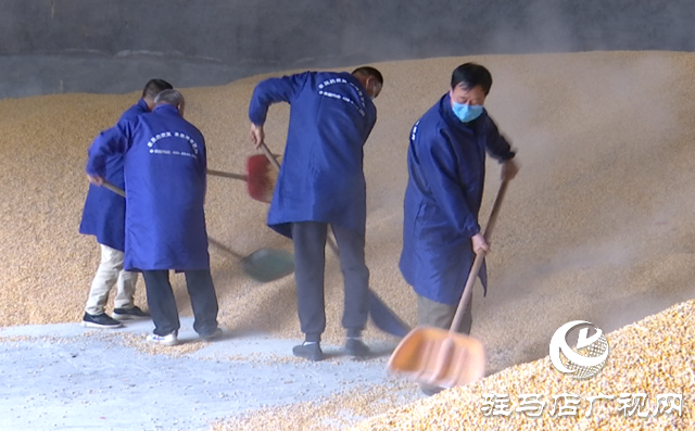 于書芹:從農(nóng)家妹子到創(chuàng)業(yè)明星 用行動(dòng)詮釋新時(shí)代女性情懷