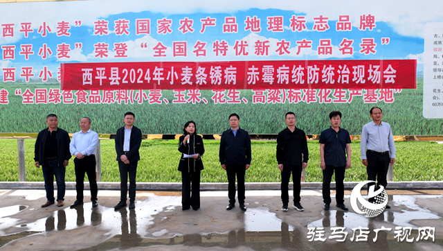 西平縣召開小麥條銹病、赤霉病統(tǒng)防統(tǒng)治現(xiàn)場(chǎng)會(huì)