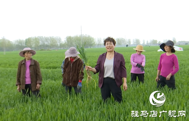 于書芹:從農(nóng)家妹子到創(chuàng)業(yè)明星 用行動(dòng)詮釋新時(shí)代女性情懷