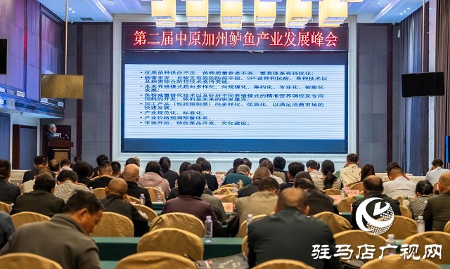 西平：&ldquo;一條鱸魚&rdquo;游出一條致富路