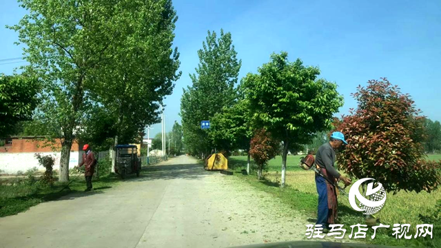 確山縣李新店鎮(zhèn):點“綠”化金 擦亮鄉(xiāng)村振興生態(tài)底色