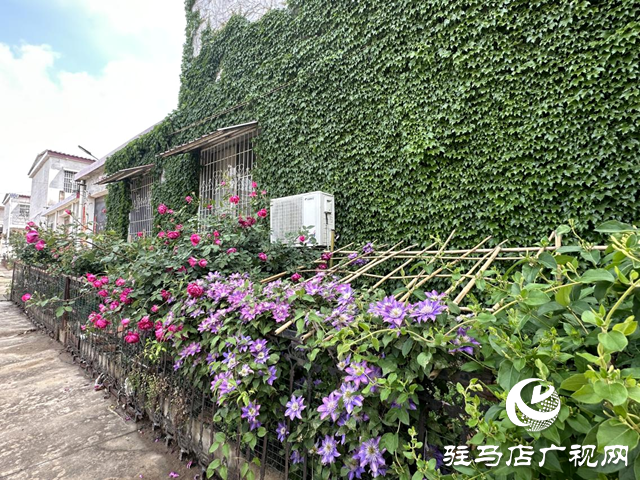 確山縣李新店鎮(zhèn):點“綠”化金 擦亮鄉(xiāng)村振興生態(tài)底色