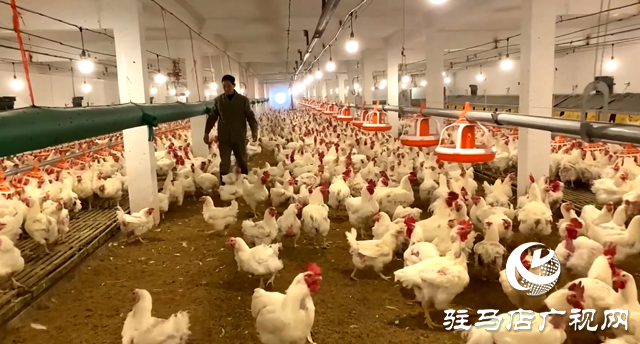 確山縣李新店鎮(zhèn):黨建引領(lǐng) “三產(chǎn)”融合 鋪就鄉(xiāng)村致富路