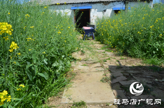 遂平縣:適老化微改造保障困難老人居有所安