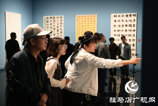 泌陽縣書法家協(xié)會(huì)會(huì)員齊聚，共賞全國(guó)第十三屆書法篆刻展