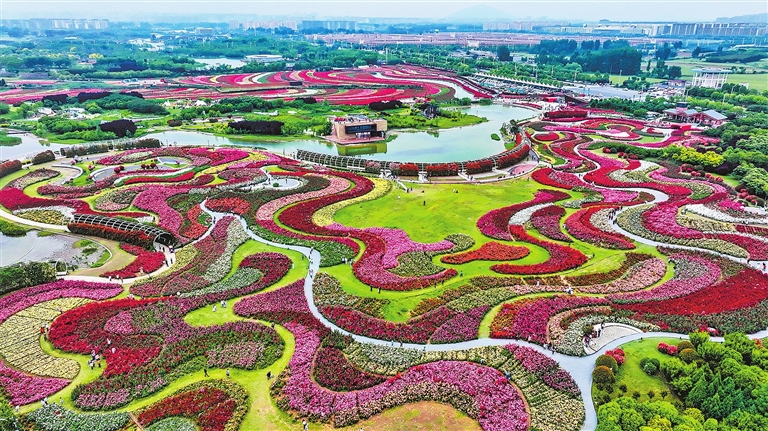 河南：文化、夜游、康養(yǎng)、采摘 文旅市場多“點”精彩