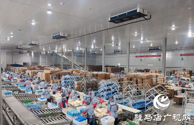 泌陽(yáng)縣：繪制精準(zhǔn)&ldquo;招商地圖&rdquo;賦能產(chǎn)業(yè)發(fā)展