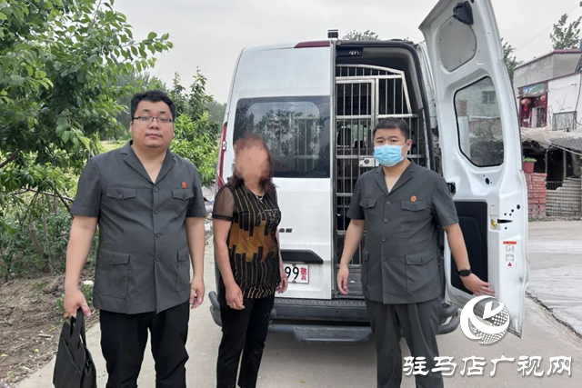 依法強(qiáng)制拘留4人！平輿縣人民法院夏日執(zhí)行&ldquo;風(fēng)暴&rdquo;來襲