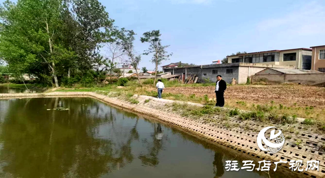 駐馬店市生態(tài)環(huán)境局遂平分局開展農(nóng)村黑臭水體現(xiàn)場(chǎng)后督查工作