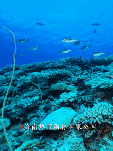 跟著總書記，從國家公園看&ldquo;萬物共生&rdquo;