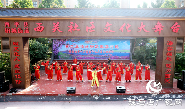 西平縣開展&ldquo;春季村晚&rdquo;文藝匯演活動(dòng)