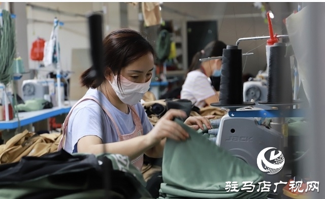 平輿縣：黨建&ldquo;雙提升&rdquo;激活鄉(xiāng)村振興內(nèi)驅(qū)力