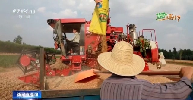 農(nóng)機“移動醫(yī)院”、追農(nóng)機跑的工程師……這兒的夏收有點不一樣