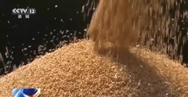 農(nóng)機“移動醫(yī)院”、追農(nóng)機跑的工程師……這兒的夏收有點不一樣