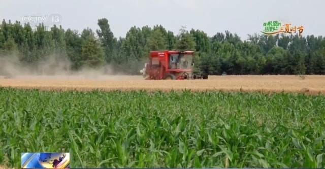 農(nóng)機“移動醫(yī)院”、追農(nóng)機跑的工程師……這兒的夏收有點不一樣