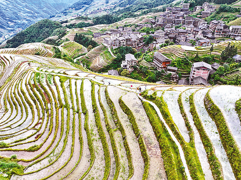 初夏龍脊景色美