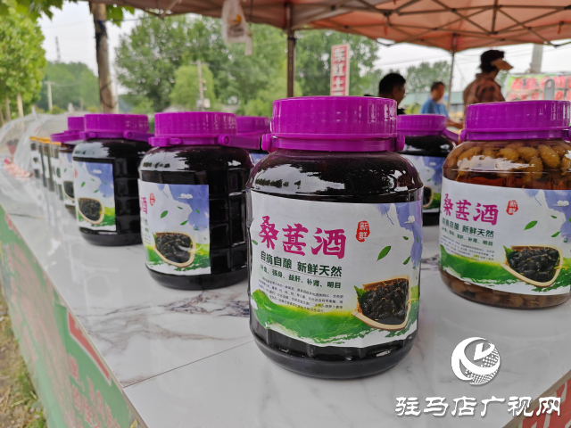 平輿縣楊埠鎮(zhèn)：小小桑葚果種出村民致富&ldquo;甜蜜&rdquo;路