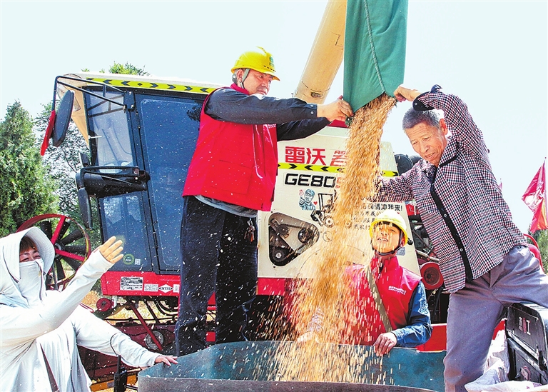 “中原糧倉(cāng)”河南麥?zhǔn)战?已收獲超4046萬(wàn)畝