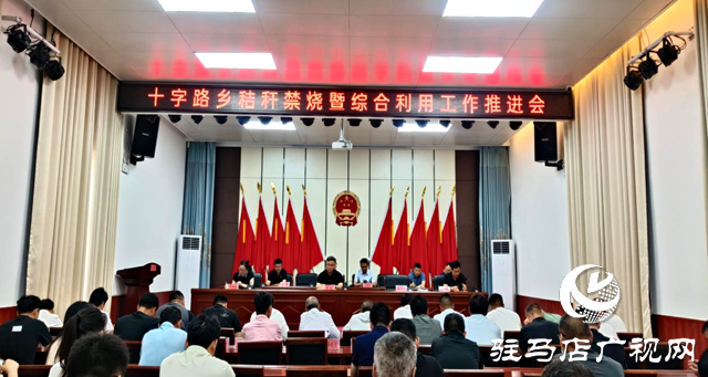 平輿縣十字路鄉(xiāng):多種舉措扛穩(wěn)“肩頭責” 全力打好“夏收”主動仗