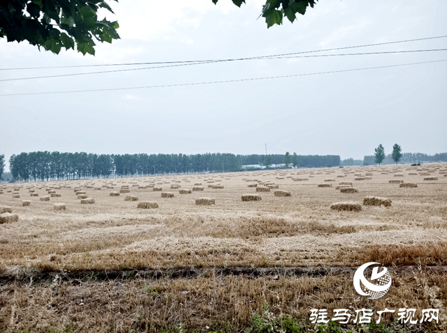 平輿縣廟灣鎮(zhèn):秸稈回收再利用 變廢為寶促增收