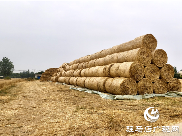 平輿縣廟灣鎮(zhèn):秸稈回收再利用 變廢為寶促增收