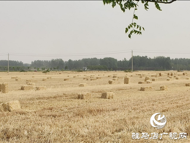 平輿縣李屯鎮(zhèn)：秸稈打捆離田 實現(xiàn)&ldquo;變廢為寶&rdquo;