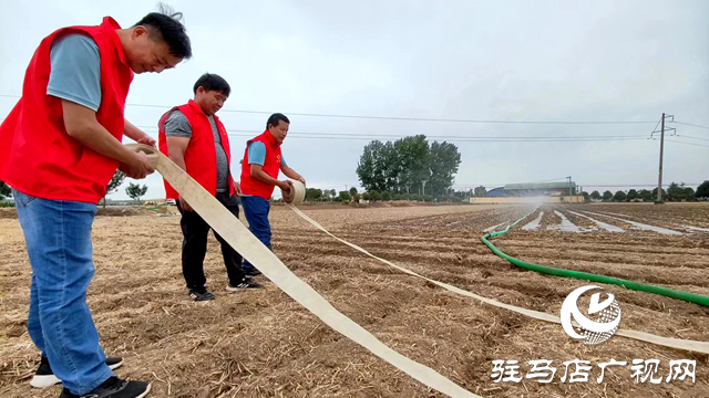 平輿縣廟灣鎮(zhèn):田間閃耀“志愿紅” 及時澆灌保秋收
