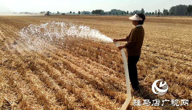 平輿縣十字路鄉(xiāng)：全面開展生產(chǎn)抗旱工作 掀起&ldquo;三夏&rdquo;搶種新高潮