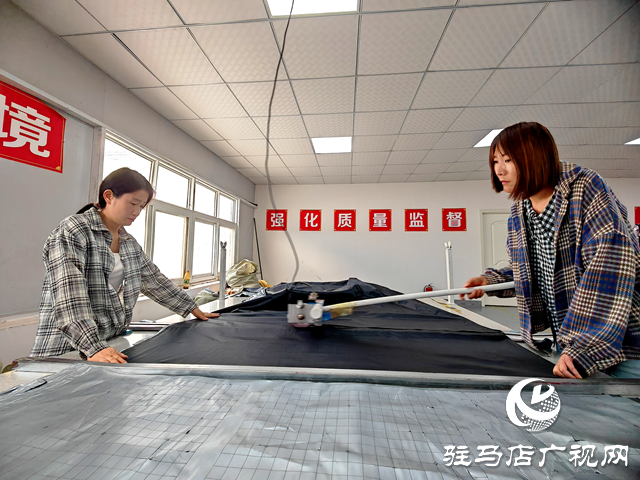 平輿縣萬(wàn)冢鎮(zhèn)郭寺村:依托黨建聯(lián)動(dòng)“雙提升” 鋪設(shè)鄉(xiāng)村振興“快車(chē)道”