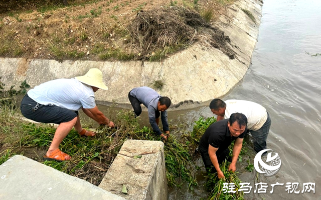 泌陽縣郭集鎮(zhèn)：全力打好抗旱保苗&ldquo;主動(dòng)仗&rdquo;