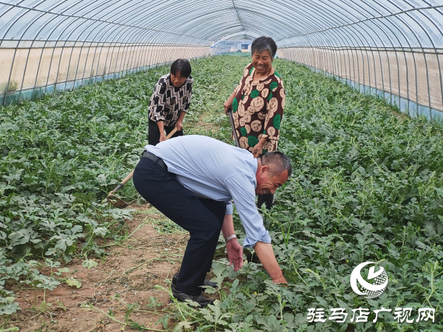 平輿縣高楊店鎮(zhèn)洼李村：堅持黨建引領(lǐng) 讓鄉(xiāng)村振興之路越走越寬