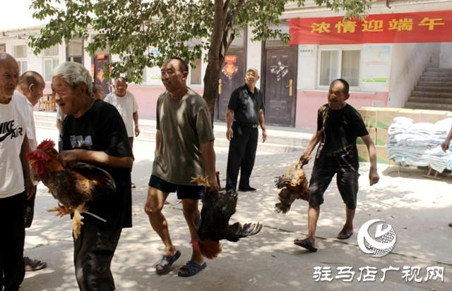 平輿縣:粽葉綠映黨旗紅 “雙鳳黨建”潤澤“夕陽”