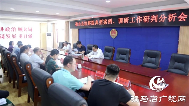 確山縣人民檢察院召開典型案例、調(diào)研工作研判分析會
