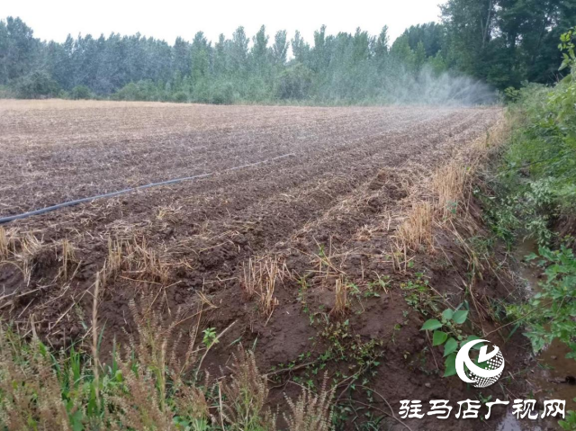確山縣李新店鎮(zhèn)：精準(zhǔn)發(fā)力 再掀抗旱搶種 &ldquo;新高潮&rdquo;
