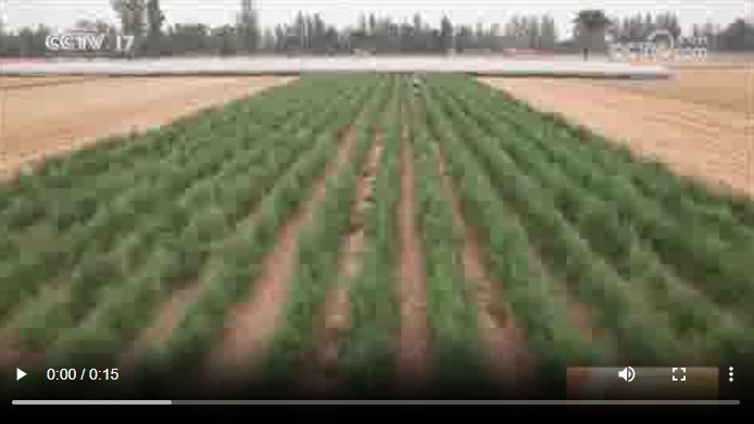 央媒看河南 | 關(guān)注河南應(yīng)對高溫、抗旱保苗等內(nèi)容