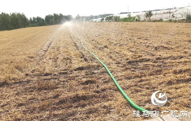 確山縣李新店鎮(zhèn)：精準(zhǔn)發(fā)力 再掀抗旱搶種 &ldquo;新高潮&rdquo;