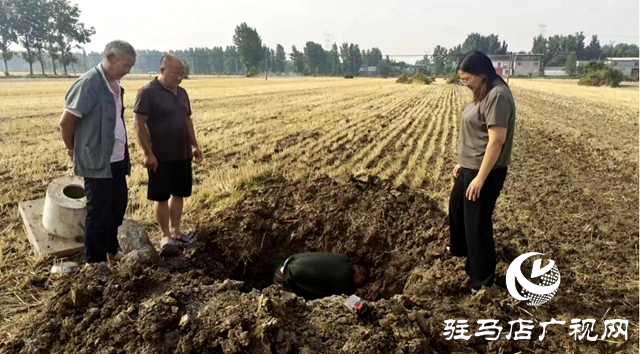 平輿縣辛店鄉(xiāng)：基層黨建&ldquo;雙提升&rdquo; 聚焦服務(wù)促發(fā)展