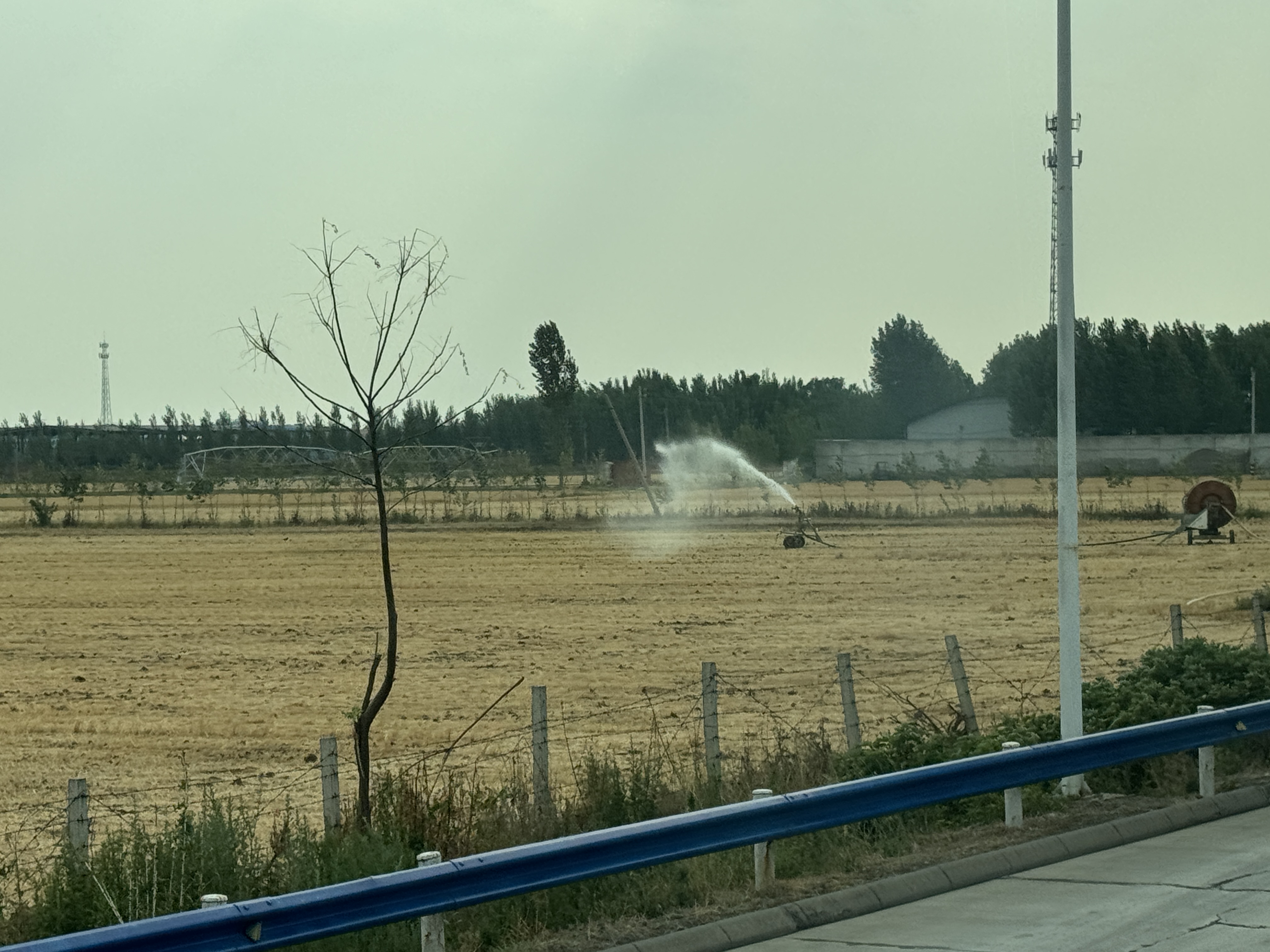 河聲｜排除雜音、全力以赴，下好抗旱救災(zāi)這盤棋