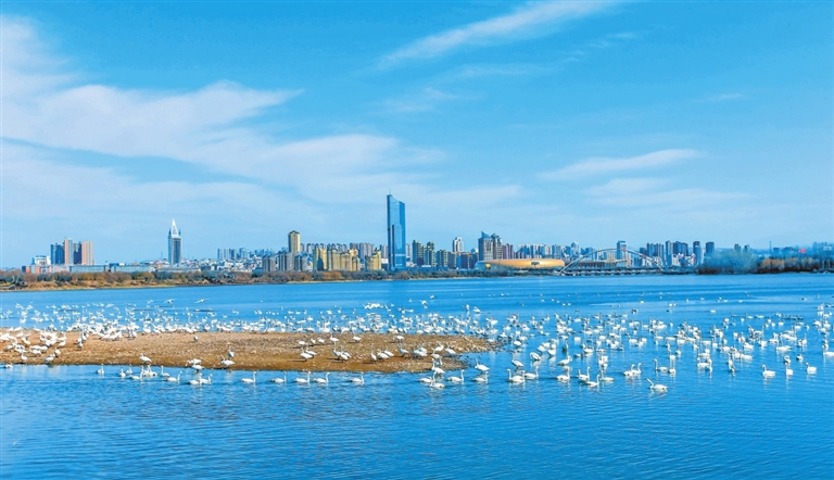 文旅繁花 璀璨綻放