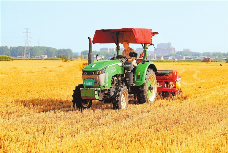 雨水“上線” 搶墑播種正當(dāng)時