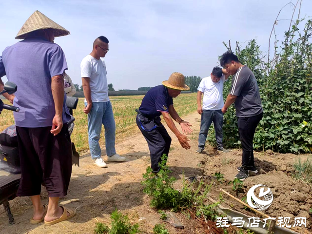 平輿縣司法局:耕地占路引糾紛 田間調(diào)解促和諧