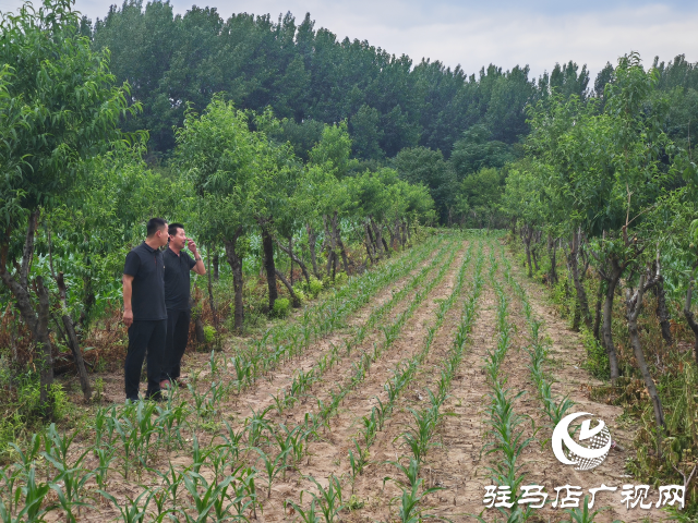 平輿縣古槐街道南陳社區(qū)：爭(zhēng)做&ldquo;五星&rdquo;支部新標(biāo)桿 擘畫基層治理新格局