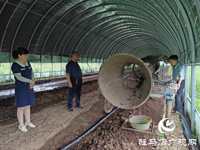 平輿縣辛店鄉(xiāng)黃寨村：蚯蚓養(yǎng)殖&ldquo;蚓&rdquo;出致富新路子