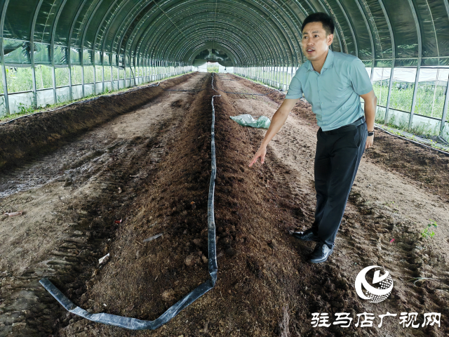 平輿縣辛店鄉(xiāng)黃寨村：蚯蚓養(yǎng)殖&ldquo;蚓&rdquo;出致富新路子