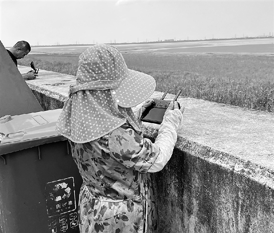 上百人涌下江堤去搶潮頭魚 有人為搶流量，有人跟風(fēng)打卡