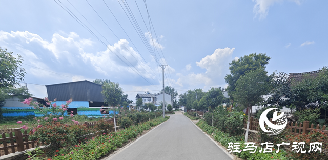 泌陽縣下碑寺鄉(xiāng)：花開美景添光彩 扮靚鄉(xiāng)村高&ldquo;顏值&rdquo;