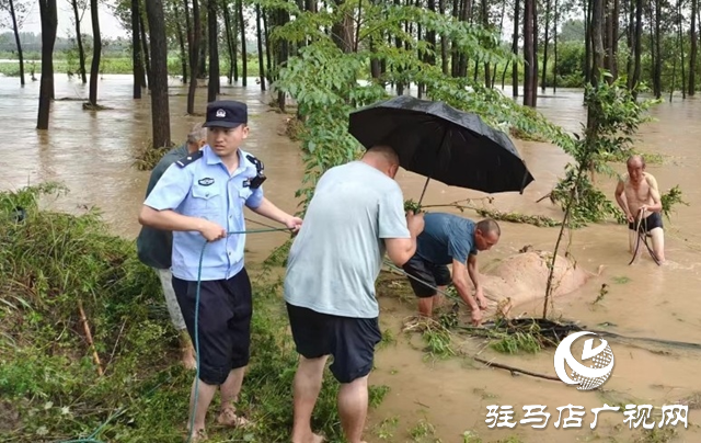 泌陽縣高邑鎮(zhèn)：以&ldquo;汛&rdquo;為令  打好汛期&ldquo;主動仗&rdquo;